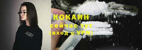 mdpv Бородино