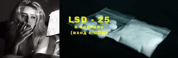 mdpv Бородино