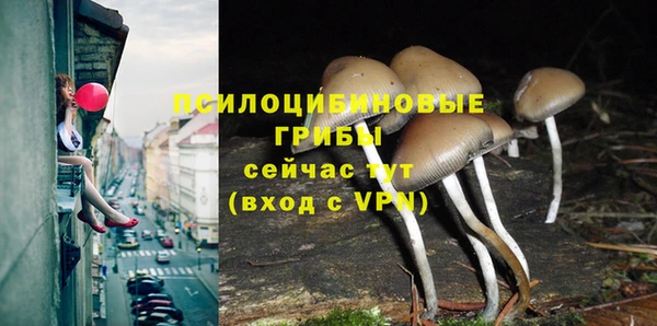 mdpv Бородино
