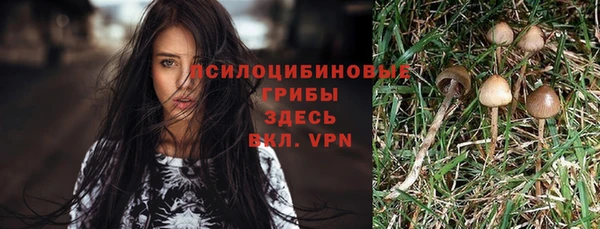 mdpv Бородино