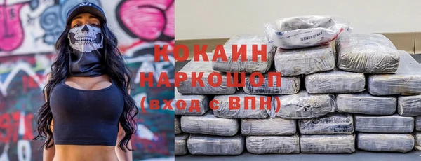 mdpv Бородино