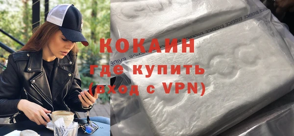 mdpv Бородино