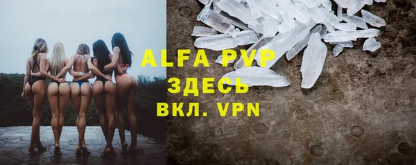 mdpv Бородино
