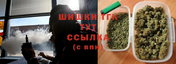 mdpv Бородино