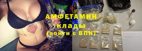 mdpv Бородино